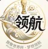 领航国际